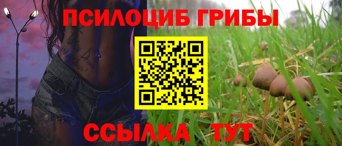 Псилоцибиновые грибы мицелий  Псилоцибиновые грибы Cubensis  Котлас  Вход с VPN 